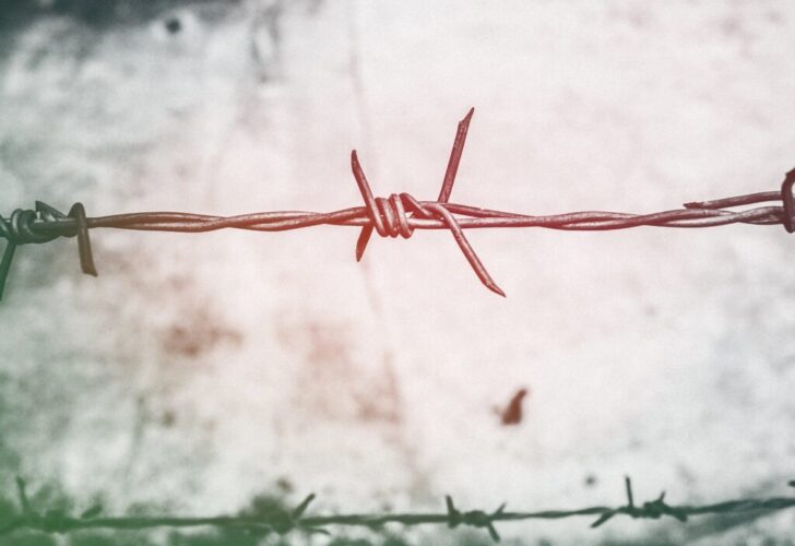 barb-wires-barbed-wire-blur-593101